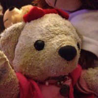 Fuzzy Bear & Friends #BeMoreToddy🌻 (@friendsfuzzy) 's Twitter Profile