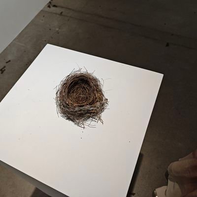 wudihongjian's profile picture. 