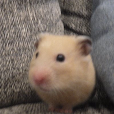 AehEntRkNzcdCl5's profile picture. 