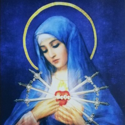 Raccolta 1910 Edition.
🔥 Offered for the poor souls 🔥
Get your blessed Rosary today for extra indulgences - call the Friar Servants of Mary at 708-795-8885