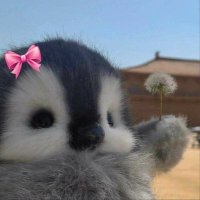 CeeYaah (@ceeyaah20) 's Twitter Profile