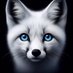 Fox (@_fox555) Twitter profile photo Fox (@_fox555) Twitter profile photo