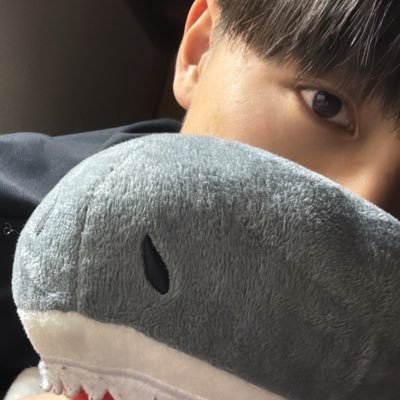 ruito6318's profile picture. 