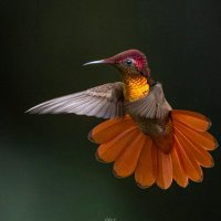 Gloria Patricia Vale (@g_patto) 's Twitter Profile