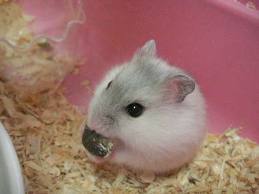 wal_jamalag's profile picture. ゆずっこです！春から武庫川女子大学薬学部(^o^)、知ってる人武庫女いくひとfollowme～♪