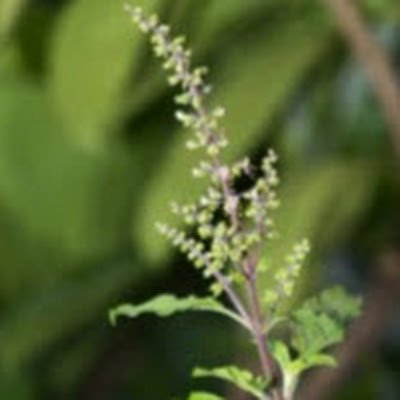 Anjana_R2323's profile picture. 