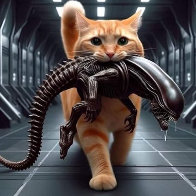 Interested in science and the humanities. Keen syfy fan, huge star trek fan. Also into current affairs and economics. Pretty curious about everything.