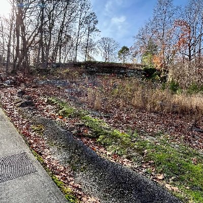 TylerW67562's profile picture. 