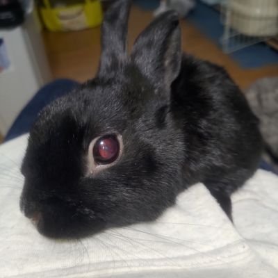 PKlGCN2J3TaPCGl's profile picture. みりん推し　　　　　　　　　　
さよならステイチューンるぃるぃ🎀推し　　　　　　　　　　
キラフォレゆうかちゃん🚼あーみん♑りんぴ🌼推し