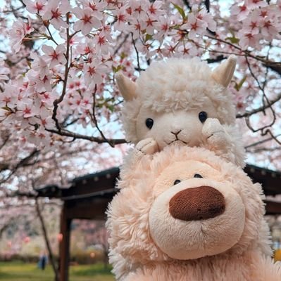 良夜さんのプロフィール画像