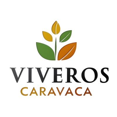 Especialistas en la producción al por mayor de almendros, pistacheros y frutales. Envíos a raíz desnuda sólo entre nov-feb 🚛En maceta todo el año 🪴📲617055173