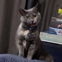 Fudgecakeys (@fudgecakeys12) 's Twitter Profile Photo Fudgecakeys (@fudgecakeys12) 's Twitter Profile Photo