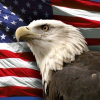 🇺🇸UnLimited John🇺🇸 (@citizenjohnm) 's Twitter Profile