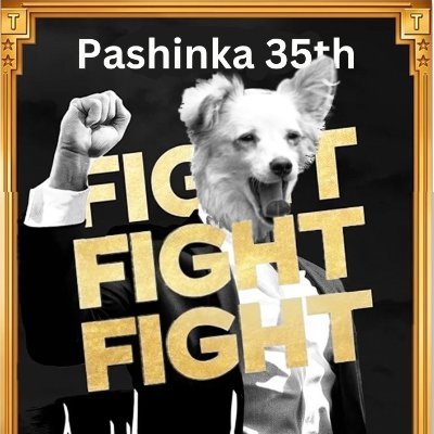Pachinka the 35th presidents dog #Kennedy.