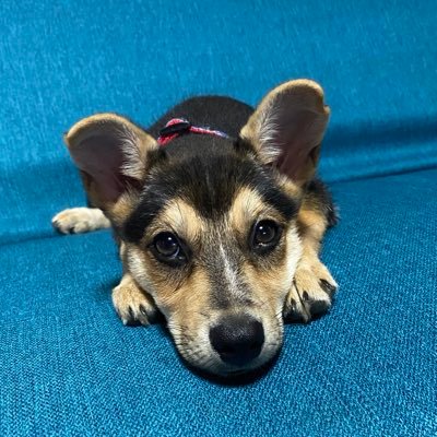 Rana0324711's profile picture. Y本さん→M脇さん→Nさん→Cです‼︎ 何事にもポジティブに🔥