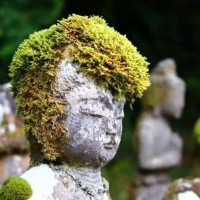 kjlgnc01p's profile picture. 