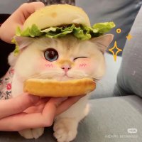Daydream zonzon (@daydreamzon) 's Twitter Profile