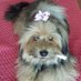 Luciana (@luciana1273224) Twitter profile photo Luciana (@luciana1273224) Twitter profile photo