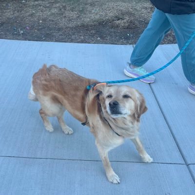 AryalShirshak's profile picture. No one- A man got no bio!