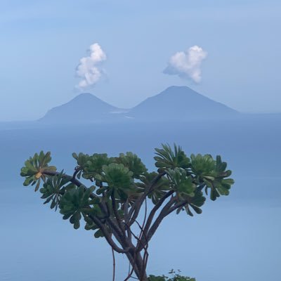 lucabernareggi's profile picture. Esistono tre tipi di persone, le pecore, i lupi e i cani da pastore. Qui non alleviamo pecore e se provate a diventare dei lupi vi prendo a cinghiate.