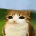 meowl (@splitj73029) Twitter profile photo meowl (@splitj73029) Twitter profile photo
