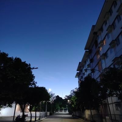 Bruscothe's profile picture. 