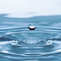 Waterzilla.voi (@waterzilla2025) 's Twitter Profile