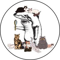 The Normal School (@thenormalschool) 's Twitter Profile Photo The Normal School (@thenormalschool) 's Twitter Profile Photo