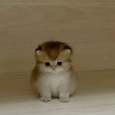 kлyopaさんのプロフィール画像