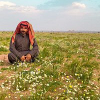 ناصر اللحيدان (@nasserlhaidan) Twitter profile photo