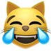 Cats Vote BP (@catsvotexpr) Twitter profile photo Cats Vote BP (@catsvotexpr) Twitter profile photo