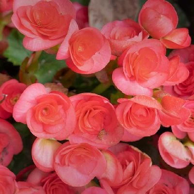 WIsaiah19631's profile picture. Upcoming influencer