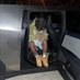 richbastarddd (@lilpbuckssss) Twitter profile photo richbastarddd (@lilpbuckssss) Twitter profile photo