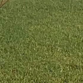 sivapriyasra's profile picture. 