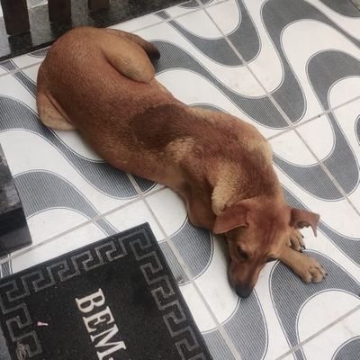 JorgeFe8432915's profile picture. 