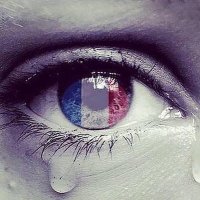 🇫🇷Claudisa 🇫🇷🌿♥️🇫🇷🌿♥️🌿 (@claudisa164) 's Twitter Profile