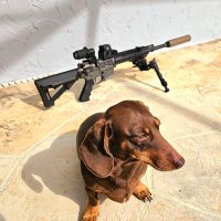 Armed Native (@armednative) 's Twitter Profile Photo Armed Native (@armednative) 's Twitter Profile Photo