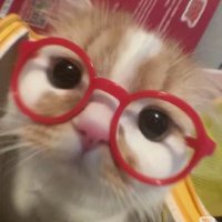 luke justice (@lukejustice14) Twitter profile photo