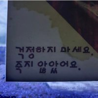 아쿠아리움 (@xjdqlstnwh) 's Twitter Profile Photo 아쿠아리움 (@xjdqlstnwh) 's Twitter Profile Photo