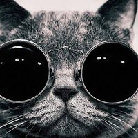 Bagar Billa (@sircaustic420) 's Twitter Profile