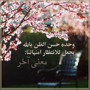 Avaloonee's profile picture. ‏الحمد لله رب العالمين