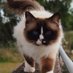 Cathy cata (@cathycata122945) Twitter profile photo Cathy cata (@cathycata122945) Twitter profile photo