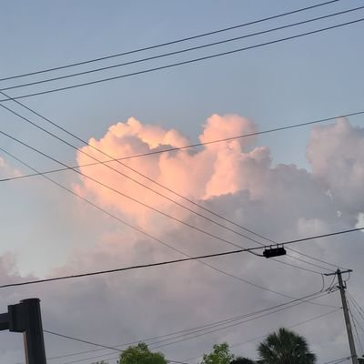 MarsMidnight17's profile picture. 21 | they/them | JRWI and Ranboo enjoyer