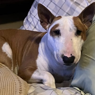 Roozeedoosie's profile picture. I’m On a positive mission