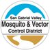 SGVmosquito🦟 (@sgvmosquito) Twitter profile photo SGVmosquito🦟 (@sgvmosquito) Twitter profile photo