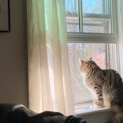 agdjkrixubwi's profile picture. 