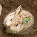 Beth March - @BethMarch2 - Twitter