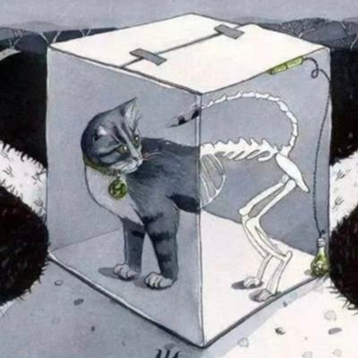 ydhshhdsj's profile picture. calm