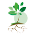 Agronomy - Plant Production Graduate Program (@ppgapv_unesp) Twitter profile photo Agronomy - Plant Production Graduate Program (@ppgapv_unesp) Twitter profile photo