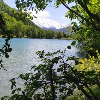 ZaraDalla (@zaradalla) 's Twitter Profile Photo ZaraDalla (@zaradalla) 's Twitter Profile Photo